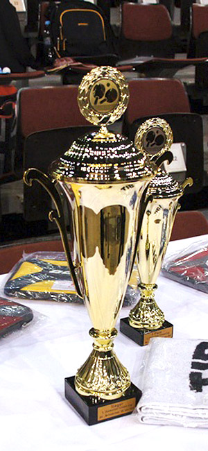 Pokal des 5. Chemnitzer Firmen-Cups